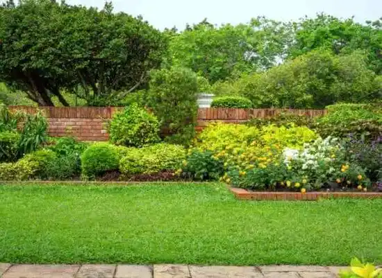 landscaping services Queen City